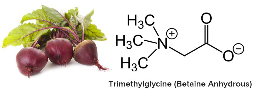 Tri Methyl Glycine
